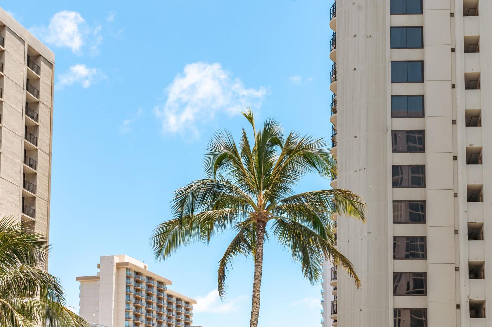 Ocean & Diamond Head Views - Near Beach - Parking! Honolulu Extérieur photo