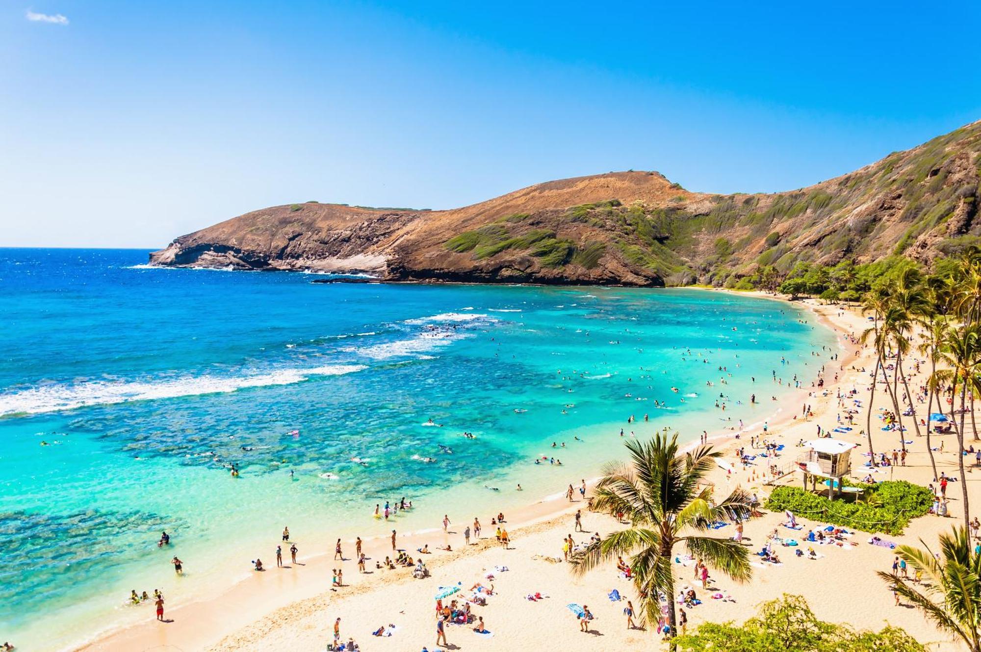Ocean & Diamond Head Views - Near Beach - Parking! Honolulu Extérieur photo